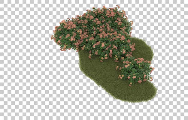 Campo de hierba con flores sobre fondo transparente. Representación 3d - ilustración