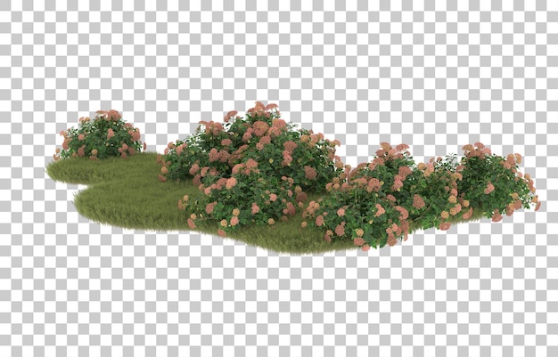 Campo de hierba con flores sobre fondo transparente. representación 3d - ilustración