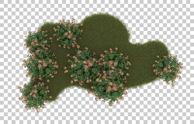 Campo de hierba con flores sobre fondo transparente. Representación 3d - ilustración