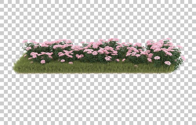 Campo de hierba con flores sobre fondo transparente. Representación 3d - ilustración