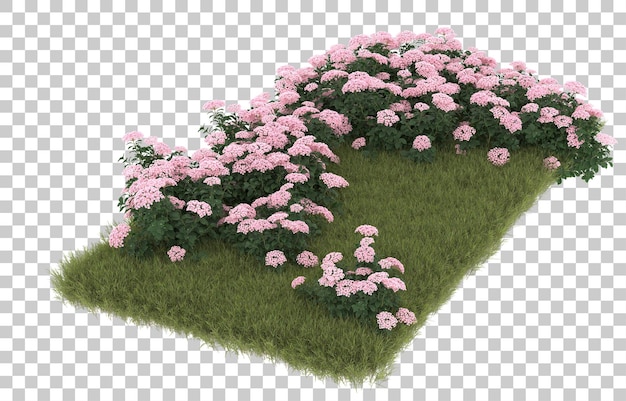 Campo de hierba con flores sobre fondo transparente. representación 3d - ilustración