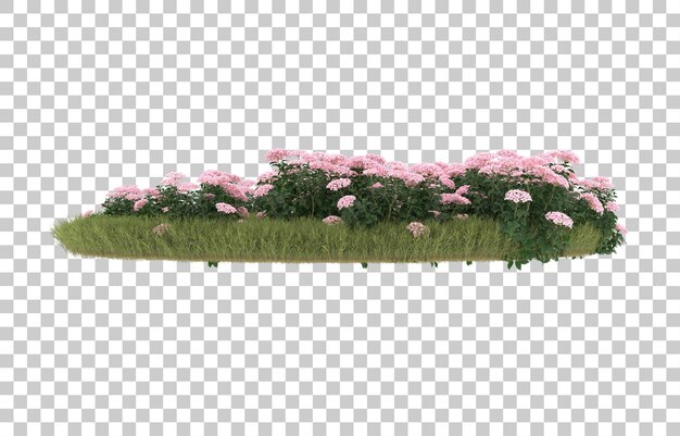 Campo de hierba con flores sobre fondo transparente. Representación 3d - ilustración