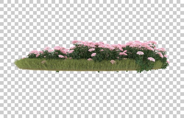 Campo de hierba con flores sobre fondo transparente. representación 3d - ilustración