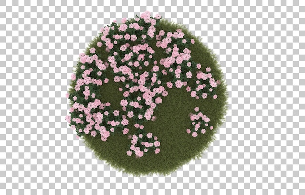Campo de hierba con flores sobre fondo transparente. Representación 3d - ilustración