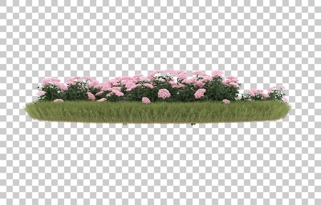 Campo de hierba con flores sobre fondo transparente. Representación 3d - ilustración