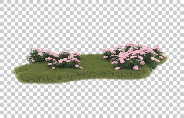 Campo de hierba con flores sobre fondo transparente. Representación 3d - ilustración