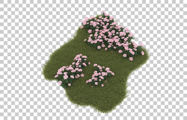 Campo de hierba con flores sobre fondo transparente. Representación 3d - ilustración