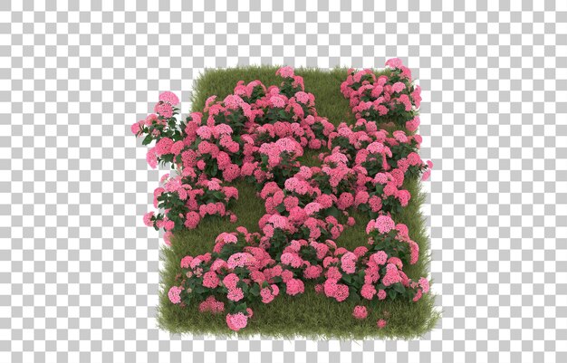 Campo de hierba con flores sobre fondo transparente. Representación 3d - ilustración