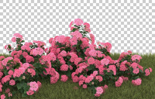 PSD campo de hierba con flores sobre fondo transparente. representación 3d - ilustración