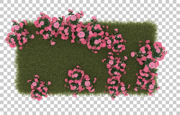 Campo de hierba con flores sobre fondo transparente. Representación 3d - ilustración