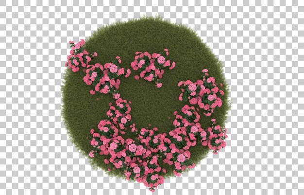 Campo de hierba con flores sobre fondo transparente. Representación 3d - ilustración