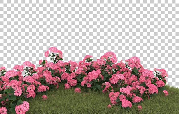 Campo de hierba con flores sobre fondo transparente. Representación 3d - ilustración