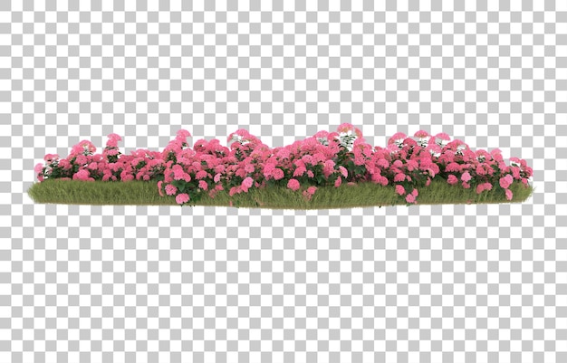 Campo de hierba con flores sobre fondo transparente. Representación 3d - ilustración