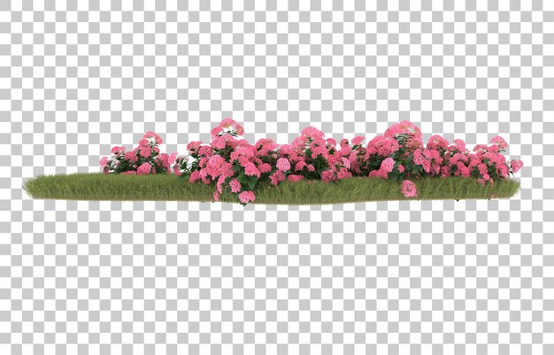 Campo de hierba con flores sobre fondo transparente. Representación 3d - ilustración