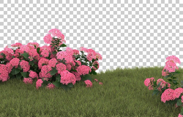 Campo de hierba con flores sobre fondo transparente. Representación 3d - ilustración