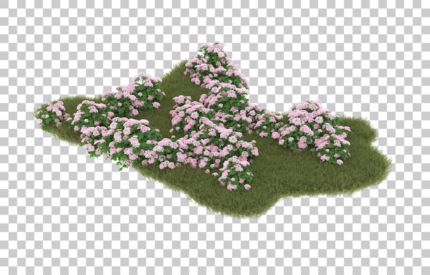 Campo de hierba con flores sobre fondo transparente. Representación 3d - ilustración