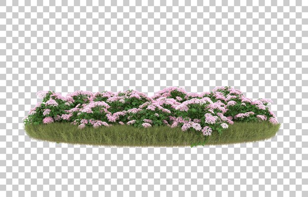 Campo de hierba con flores sobre fondo transparente. Representación 3d - ilustración