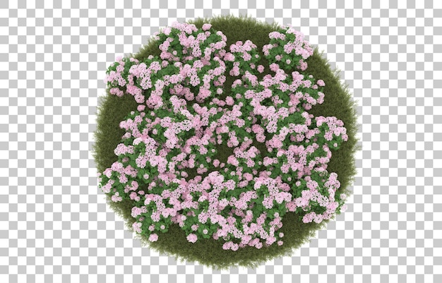 Campo de hierba con flores sobre fondo transparente. Representación 3d - ilustración