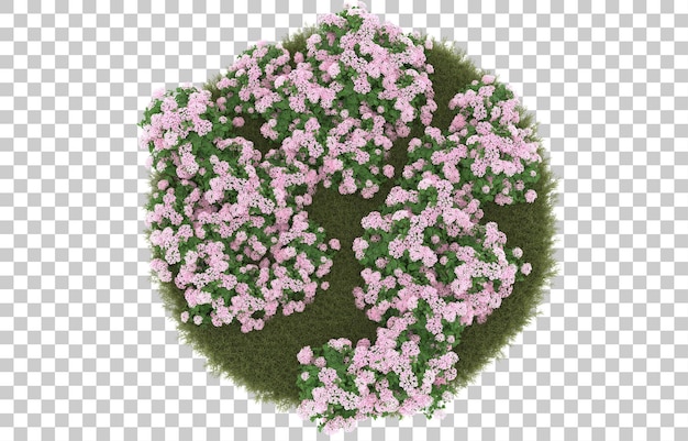 Campo de hierba con flores sobre fondo transparente. Representación 3d - ilustración