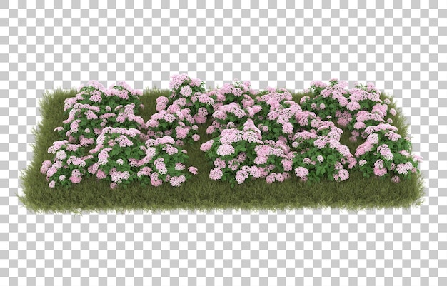 Campo de hierba con flores sobre fondo transparente. Representación 3d - ilustración