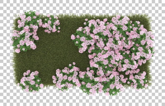 Campo de hierba con flores sobre fondo transparente. Representación 3d - ilustración