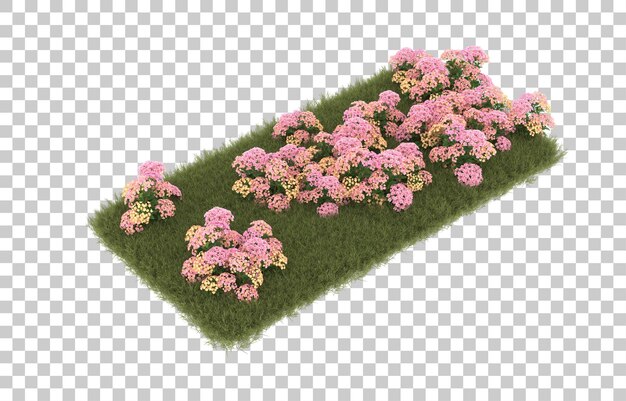 Campo de hierba con flores sobre fondo transparente. Representación 3d - ilustración