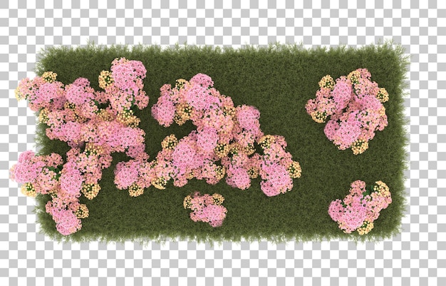 Campo de hierba con flores sobre fondo transparente. Representación 3d - ilustración