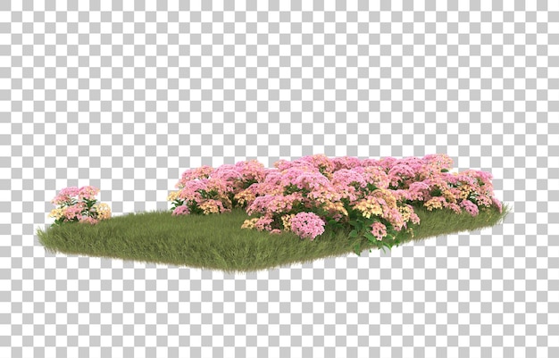 Campo de hierba con flores sobre fondo transparente. Representación 3d - ilustración
