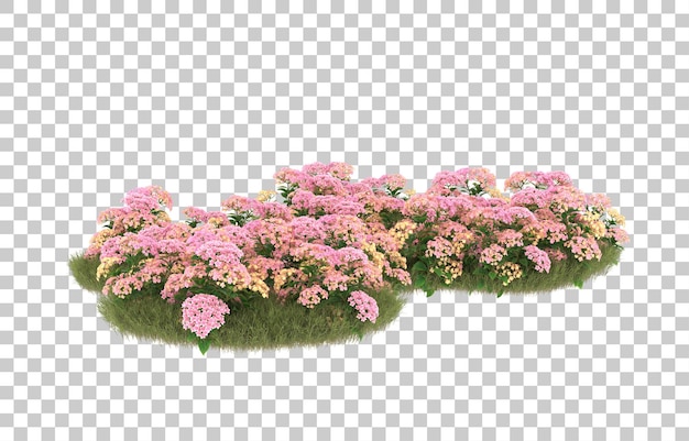 Campo de hierba con flores sobre fondo transparente. Representación 3d - ilustración