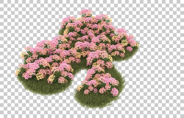 Campo de hierba con flores sobre fondo transparente. Representación 3d - ilustración
