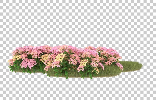 Campo de hierba con flores sobre fondo transparente. Representación 3d - ilustración