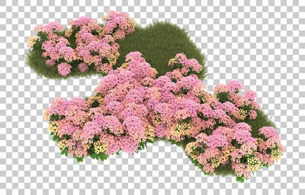 Campo de hierba con flores sobre fondo transparente. Representación 3d - ilustración