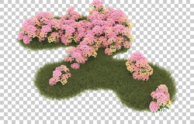 Campo de hierba con flores sobre fondo transparente. Representación 3d - ilustración
