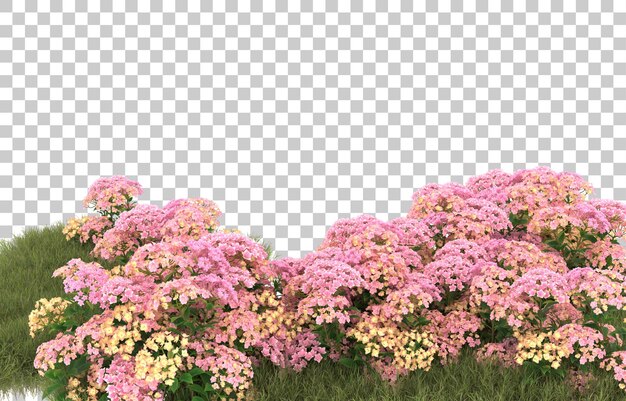 Campo de hierba con flores sobre fondo transparente. Representación 3d - ilustración