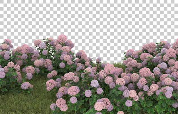 Campo de hierba con flores sobre fondo transparente. Representación 3d - ilustración
