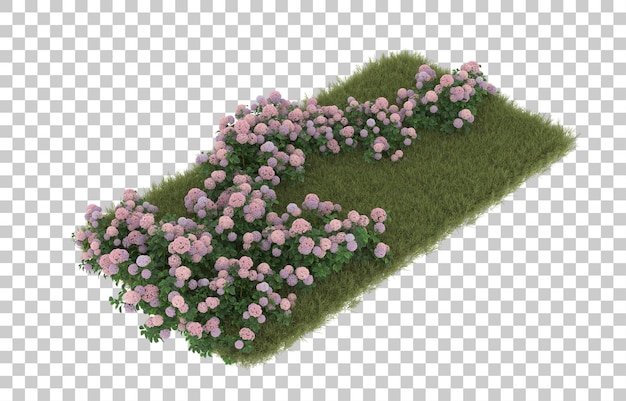 Campo de hierba con flores sobre fondo transparente. Representación 3d - ilustración