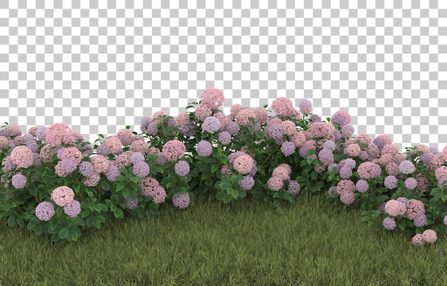 Campo de hierba con flores sobre fondo transparente. Representación 3d - ilustración