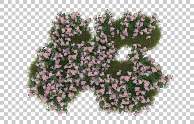 Campo de hierba con flores sobre fondo transparente. Representación 3d - ilustración