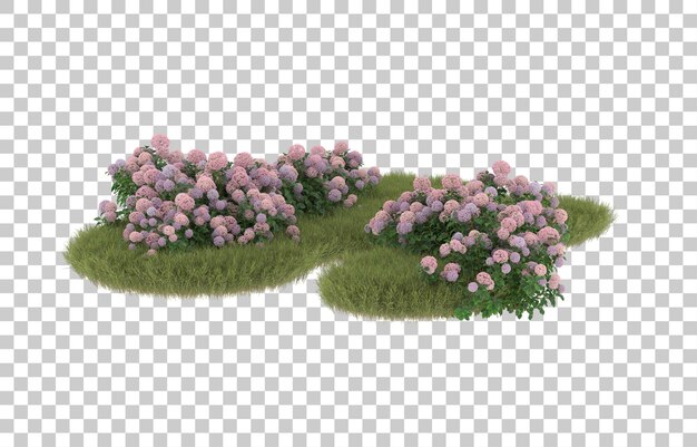 Campo de hierba con flores sobre fondo transparente. representación 3d - ilustración