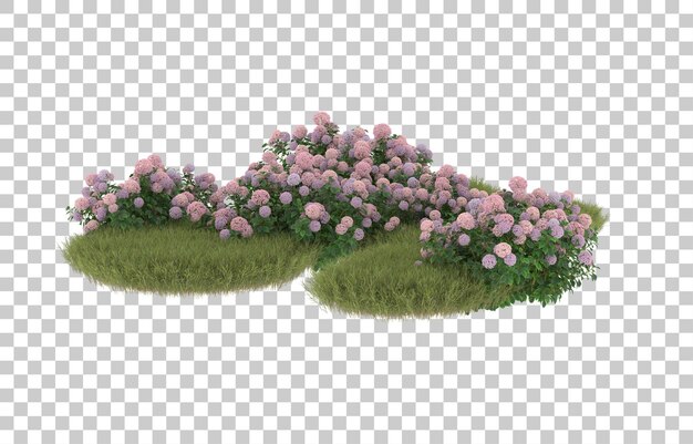 Campo de hierba con flores sobre fondo transparente. Representación 3d - ilustración