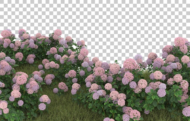 Campo de hierba con flores sobre fondo transparente. Representación 3d - ilustración