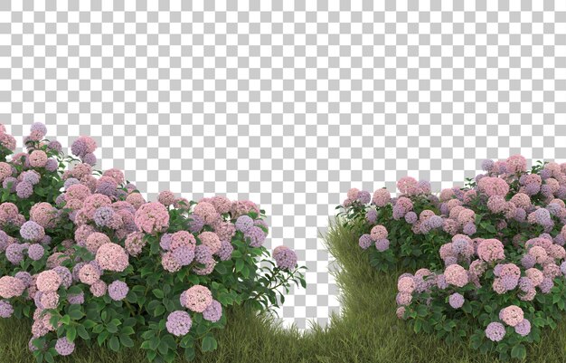 Campo de hierba con flores sobre fondo transparente. Representación 3d - ilustración