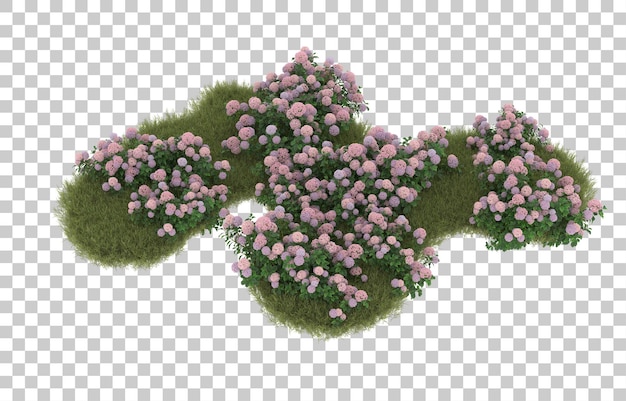 Campo de hierba con flores sobre fondo transparente. Representación 3d - ilustración