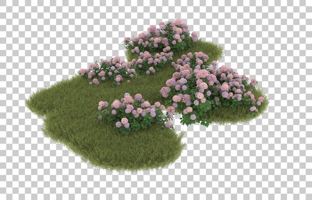 Campo de hierba con flores sobre fondo transparente. Representación 3d - ilustración