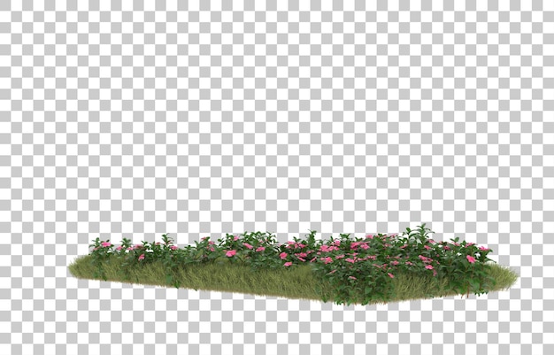 Campo de hierba con flores sobre fondo transparente. Representación 3d - ilustración