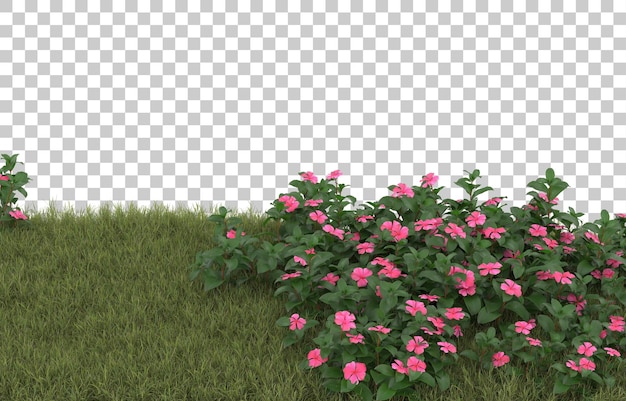 Campo de hierba con flores sobre fondo transparente. Representación 3d - ilustración