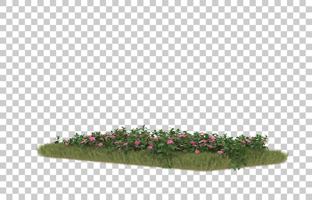 Campo de hierba con flores sobre fondo transparente. Representación 3d - ilustración