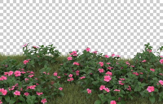 Campo de hierba con flores sobre fondo transparente. Representación 3d - ilustración