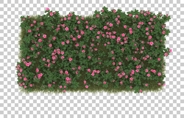 Campo de hierba con flores sobre fondo transparente. Representación 3d - ilustración