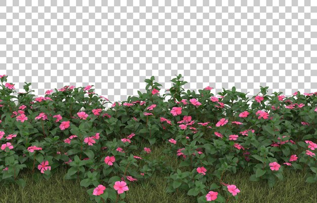 Campo de hierba con flores sobre fondo transparente. Representación 3d - ilustración